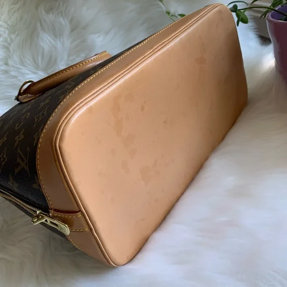 ALMA PM - Picture 3 of 15